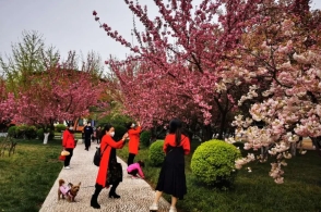 长安樱花广场.jpg01.jpg