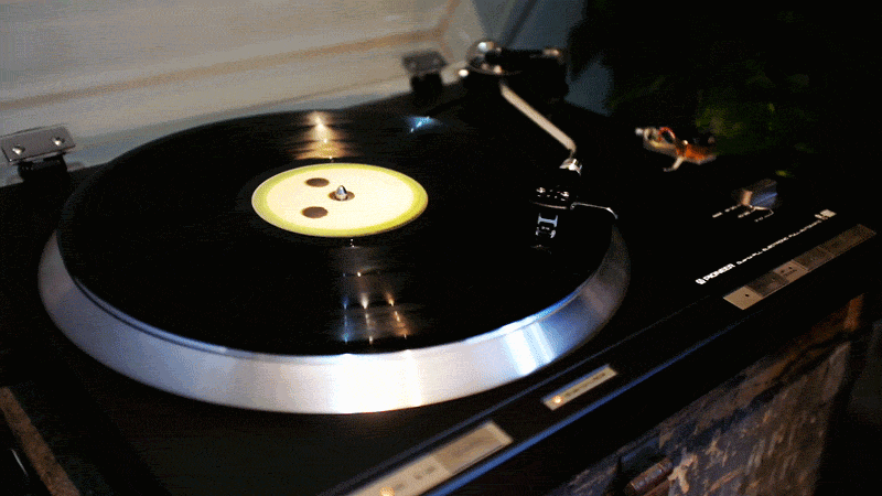 timg (4).gif