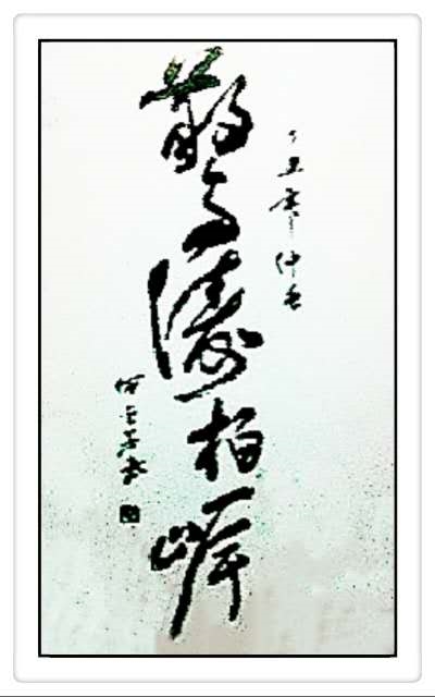 8395b93d0314145e03d986b49608844_鍓湰.jpg