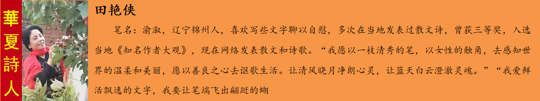 鐢拌壋渚?.png