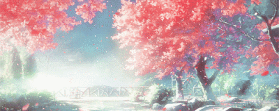 timg.gif