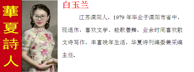 鐧界帀鍏?.png