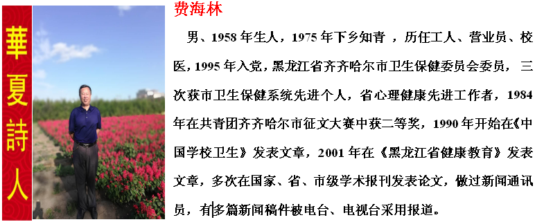璐规捣鏋?.png