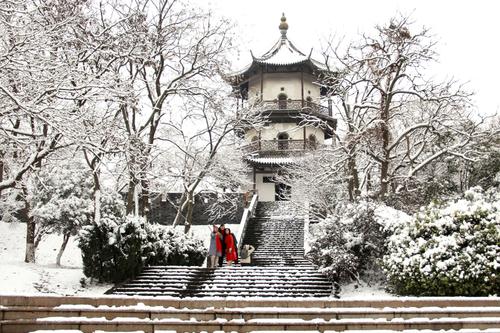 春日喜雪.jpg