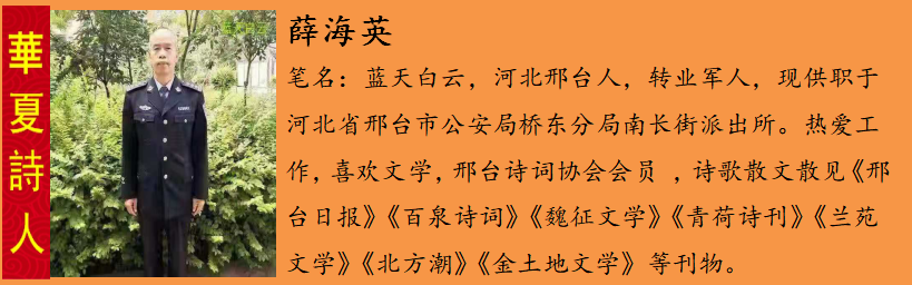 薛海è?.png