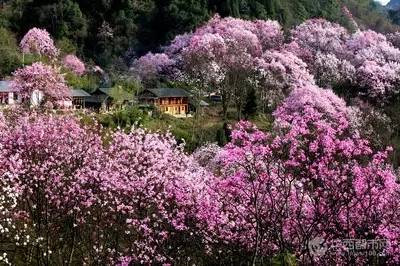 深山人家.jpg