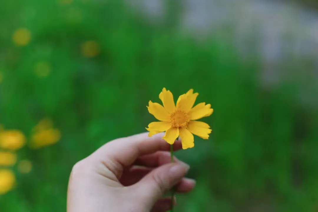 寰俊鍥剧墖_20200525154109.jpg