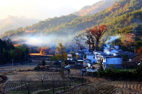 缇庝附涔℃潙.jpg