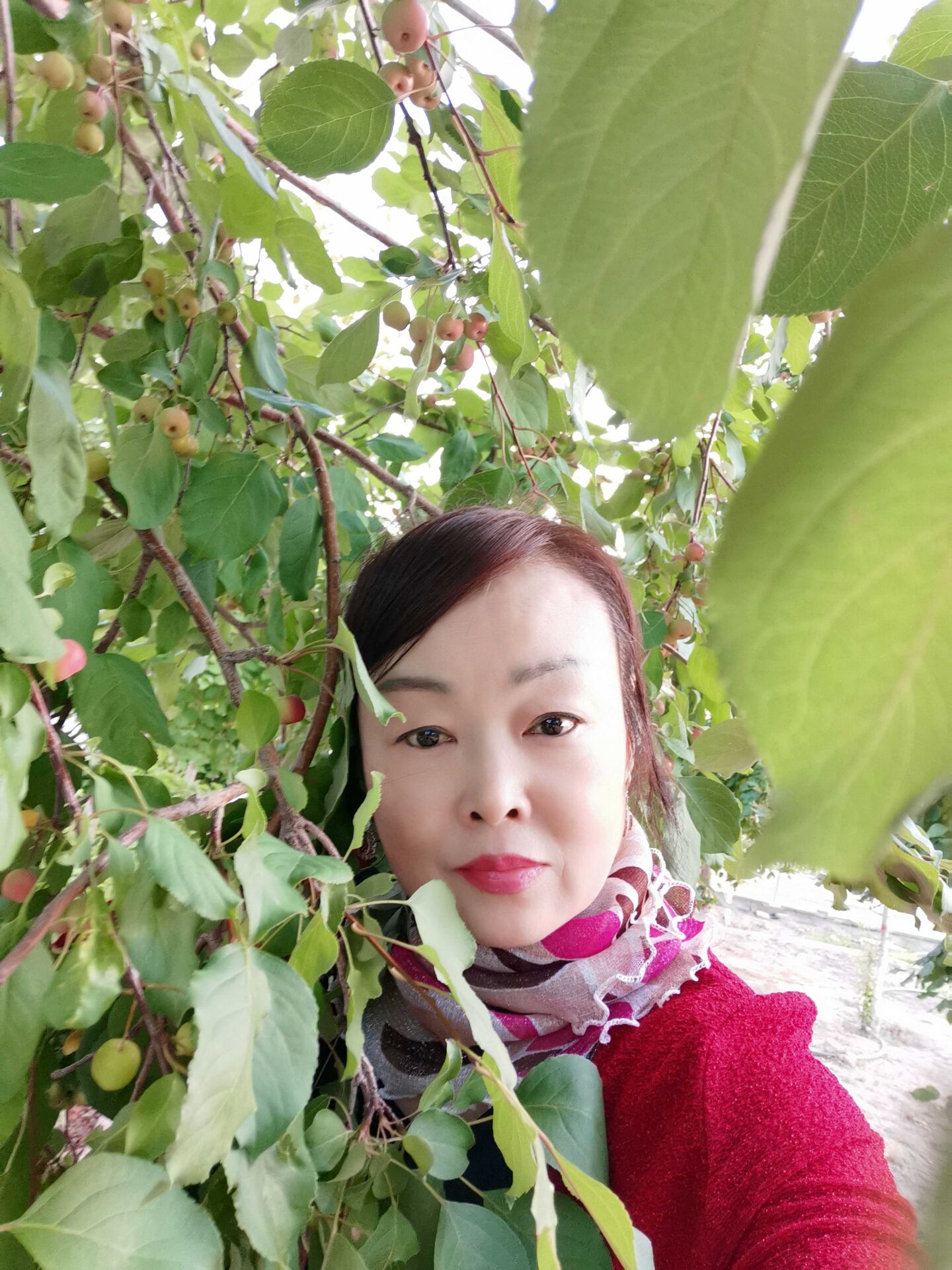 QQ鍥剧墖20200719201948.jpg