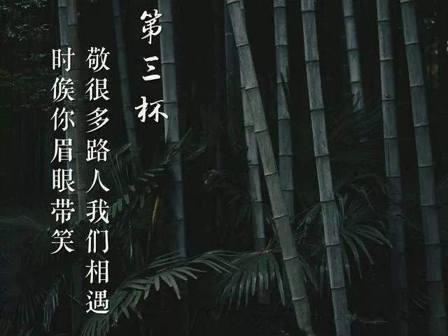 timg (10).jpg