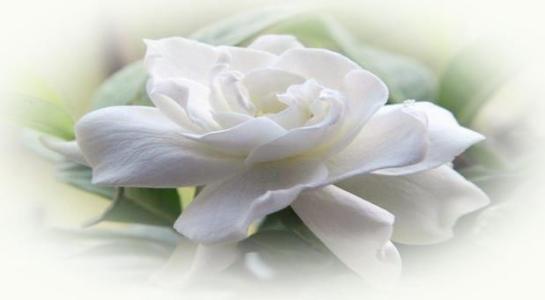 u=1667504660,2783252703&fm=26&gp=0.jpg