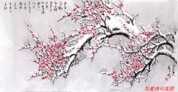 瀵掓.jpg