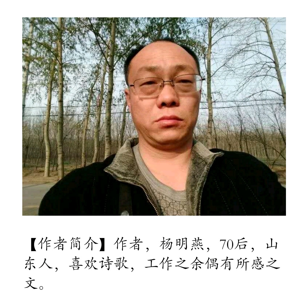 鏉ㄦ槑鐕?.jpg