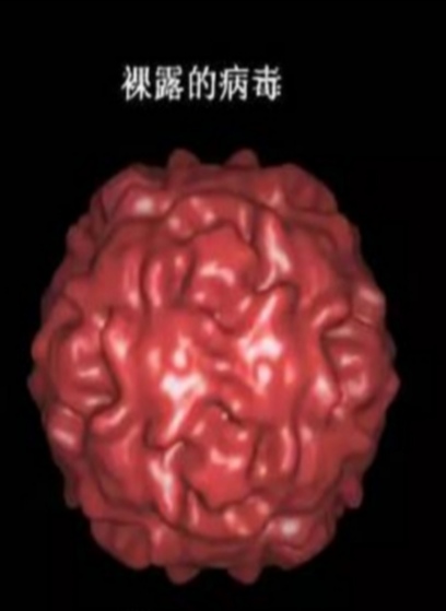 寰俊鍥剧墖_20200223222910.jpg