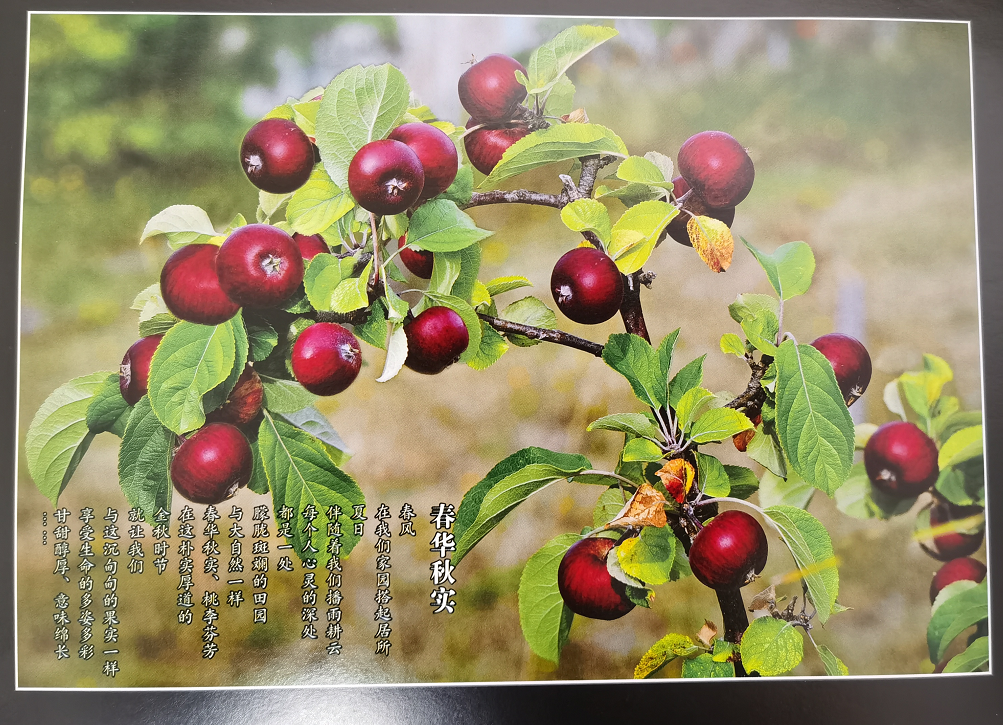 寰俊鍥剧墖_20201202111755.png