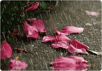 a795ae6916a07644b6f9088d9dc66561.gif
