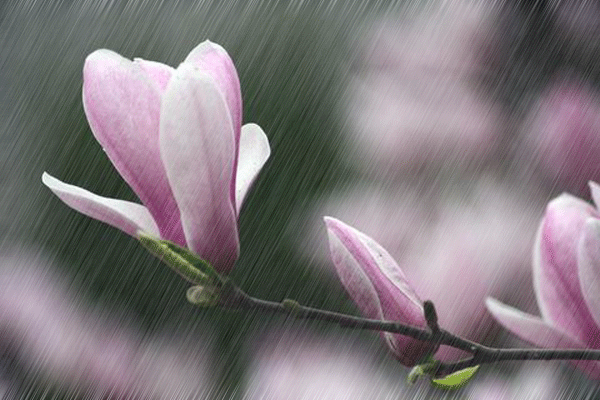 07911be856a41a3495c945288af90a53.gif