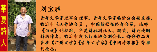 刘宝è?.png