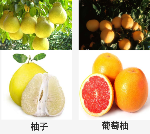 39820edd4a9de496f45348c1dcc0212.png