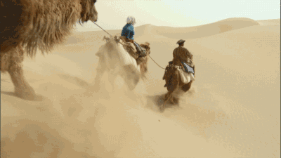 timg.gif