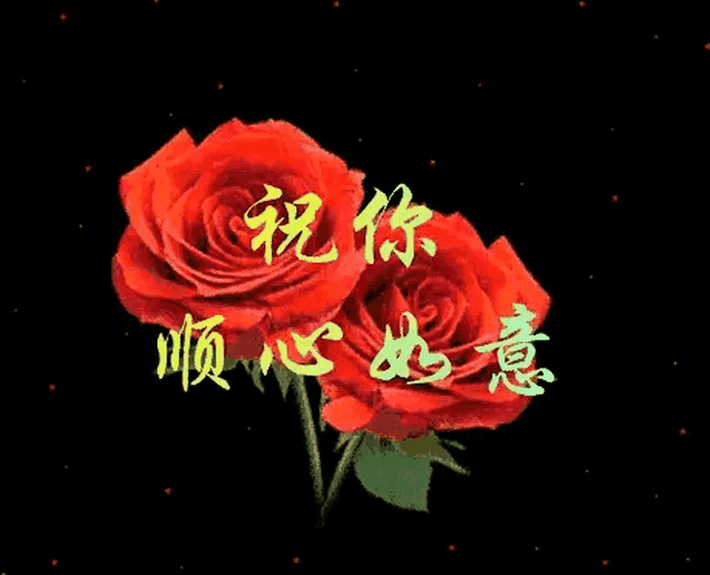 1601860689463081128.gif 1601323345162.gif