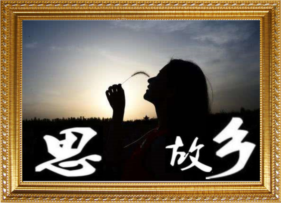 8355d1258dfed09335a324.png