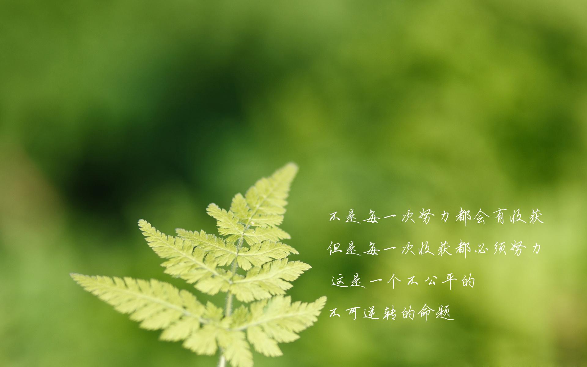 src=http_%2F%2Fpic1.win4000.com%2Fwallpaper%2F9%2F54f6af1f0c960.jpg&refer=http_%2F%2Fpic1.win4000.jpg