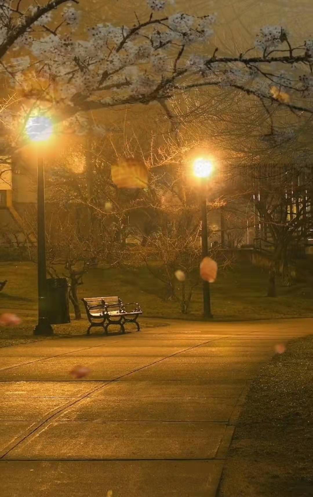 寰俊鍥剧墖_20210212190106.jpg