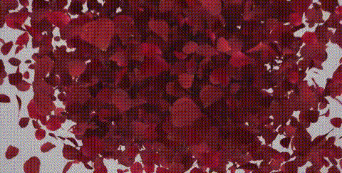 src=http_%2F%2F5b0988e595225.cdn.sohucs.com%2Fimages%2F20180212%2Fc04fa6e611ef467eb9669695f7b5186e.gif&refer=http_%2F%2F5b0988e595225.cdn.sohucs.gif