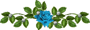 u=3773708091,2622215751&fm=26&gp=0.jpg