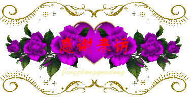 1609058630679098013.gif timg (17).gif