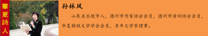 瀛欐灄鍑?.png