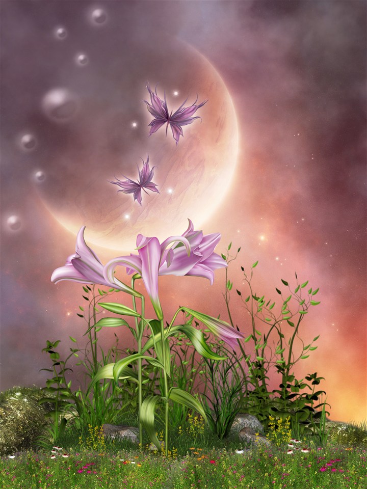 tooopen_sy_204238496593.jpg