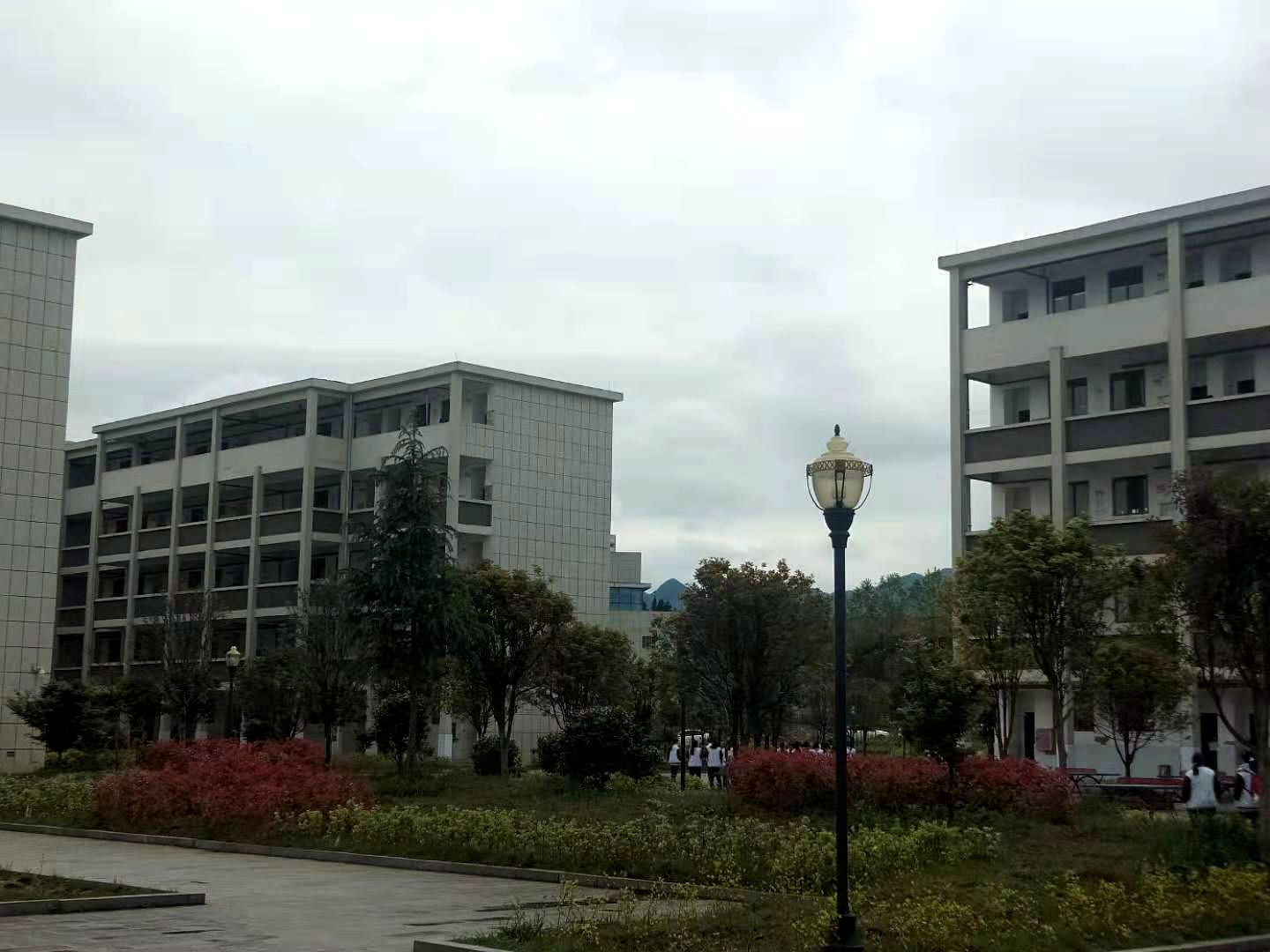 寰俊鍥剧墖_20210407122058.jpg