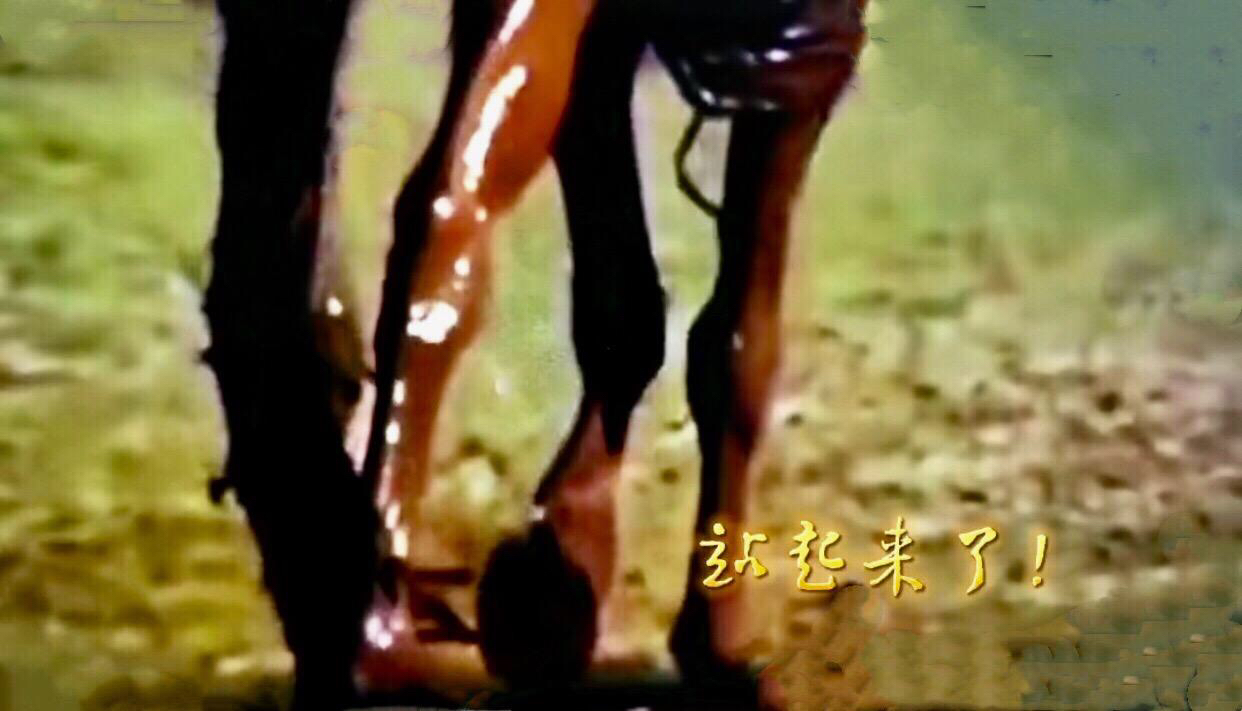 椹?017.jpg