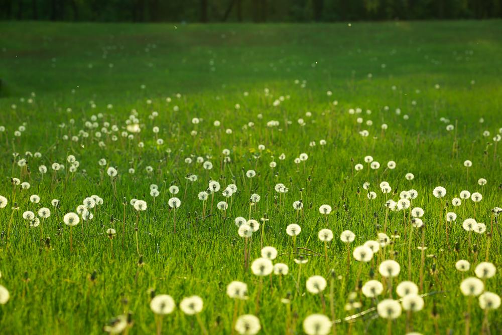 src=http_%2F%2Fimg.pconline.com.cn%2Fimages%2Fupload%2Fupc%2Ftx%2Fphotoblog%2F1605%2F25%2Fc10%2F21970854_1464181049516.jpg&refer=http_%2F%2Fimg.pconline.com.jpg