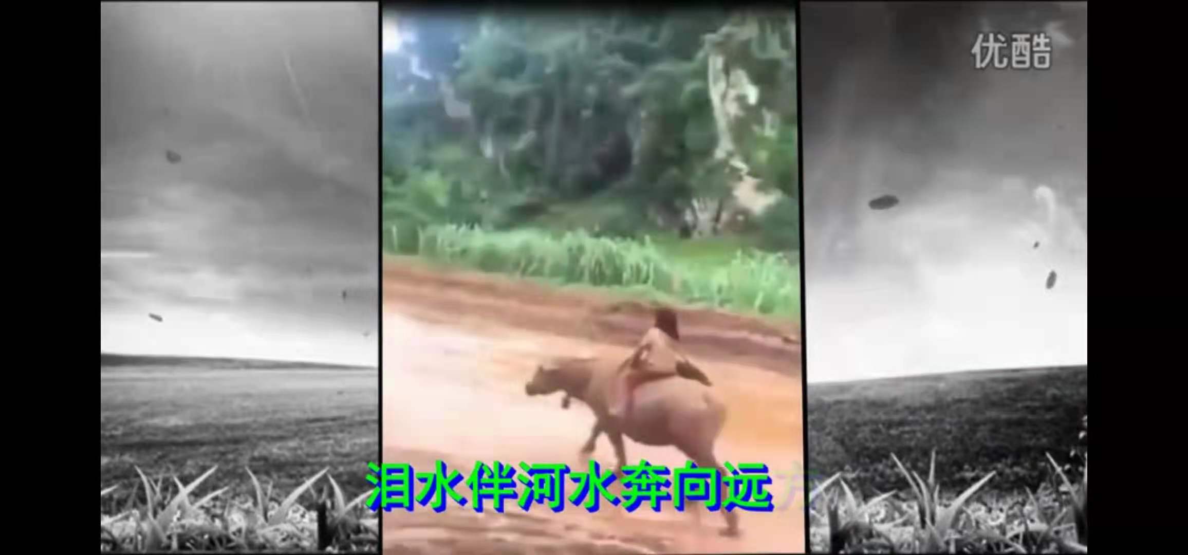 寰俊鍥剧墖_20210810194541.jpg
