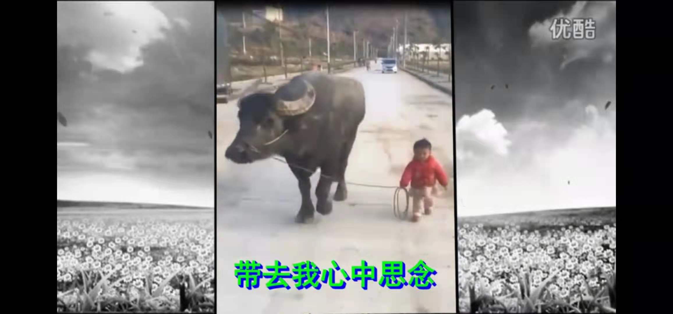 寰俊鍥剧墖_20210810194546.jpg