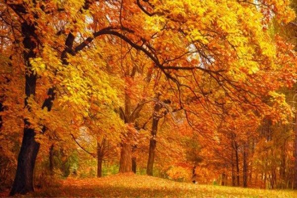 src=http_%2F%2Fimg.51test.net%2Fimg.zdwx.com/uploadfile%2Fimages%2F2018%2F0920%2F15374328409307417.jpg&refer=http_%2F%2Fimg.51test.jpg