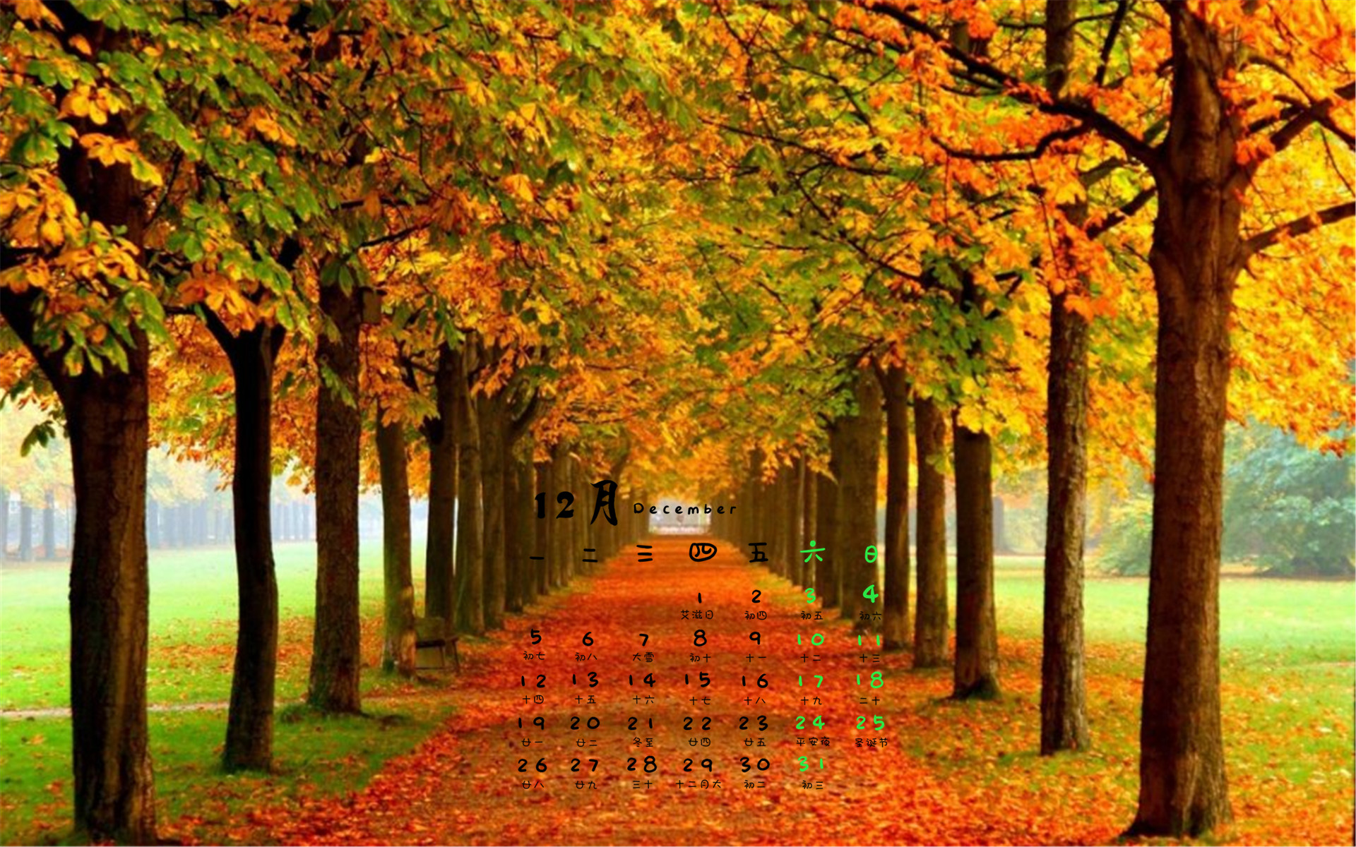 src=http_%2F%2Fpic1.win4000.com%2Fwallpaper%2F4%2F5840ea88a5ba6.jpg&refer=http_%2F%2Fpic1.win4000.jpg