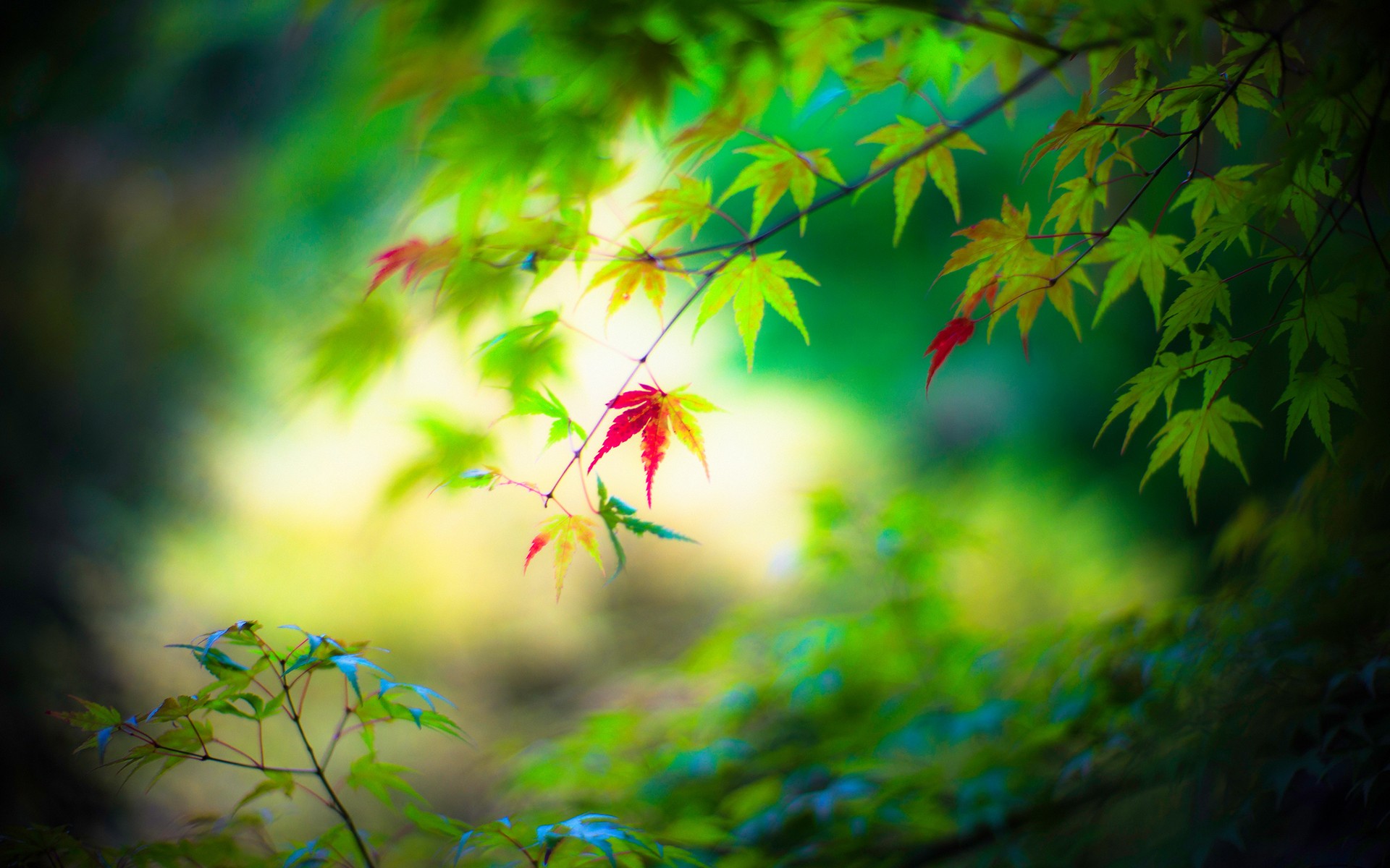 src=http_%2F%2Fpic1.win4000.com%2Fwallpaper%2F1%2F5872ee704c79e.jpg_down&refer=http_%2F%2Fpic1.win4000.jpg