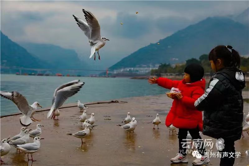 寰俊鍥剧墖_20220429140223.jpg