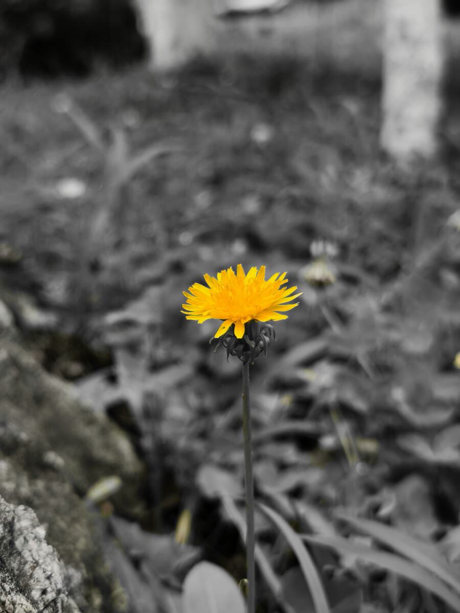 201380337.jpg