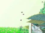 春晓 朗读者：小苓