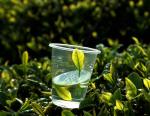 《清明茶》作者/佛得几