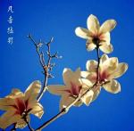 阿空｜月亮姐姐｜金土地文化传媒~038
