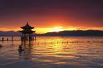 戴铁杵  老师的作品《组诗:七律:   二首:  羞对夕阳娱晚景 笑将明月证前身》扬州诗人 