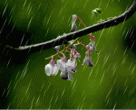 组诗：菱花/听雨/棋/开江/送君/游子吟/作者：曹华/梁文君/翰墨百川/吕振东/滕珍训/唐鹏
