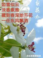 〈梨花吟〉微诗一组/邢志坚（河南）