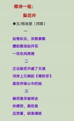 〈梨花吟〉微诗一组/邢志坚（河南）